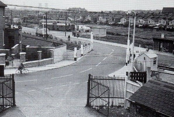 Connaught Road Allotments with rear of Leyes Rd houses (1961)